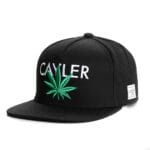 Cayler-Sons-Cayler-Cap.jpg