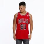 Swingman Jersey Mitchell & Ness Chicago Bulls #91 Dennis Rodman